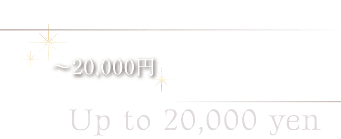 ～20,000円 Up to 20,000 yen
