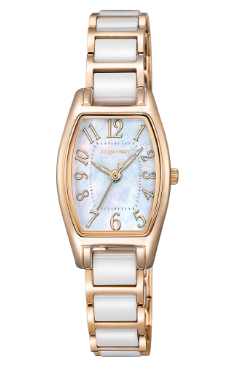 WLS21PGC-N